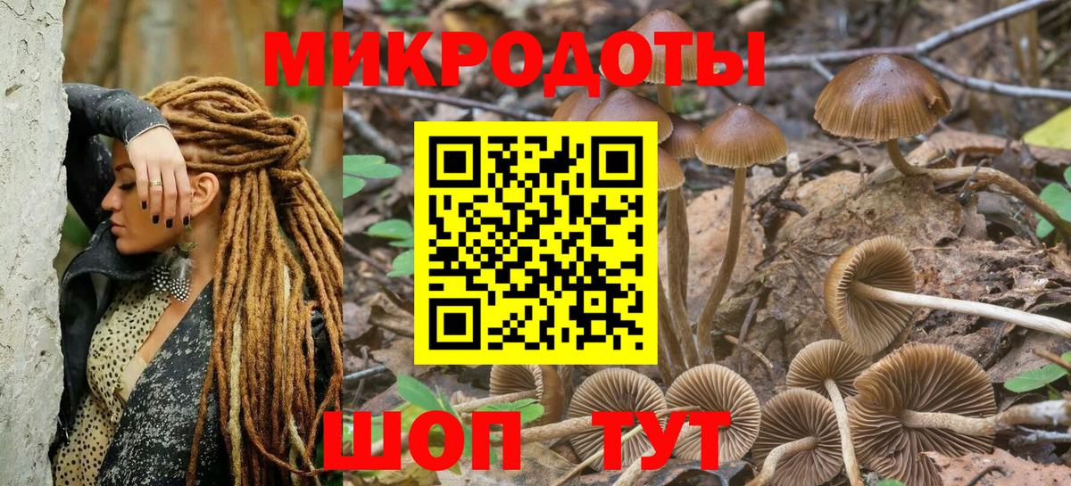 Знаменск  Псилоцибиновые грибы Cubensis  Вход с VPN  Псилоцибиновые грибы ЛСД 
