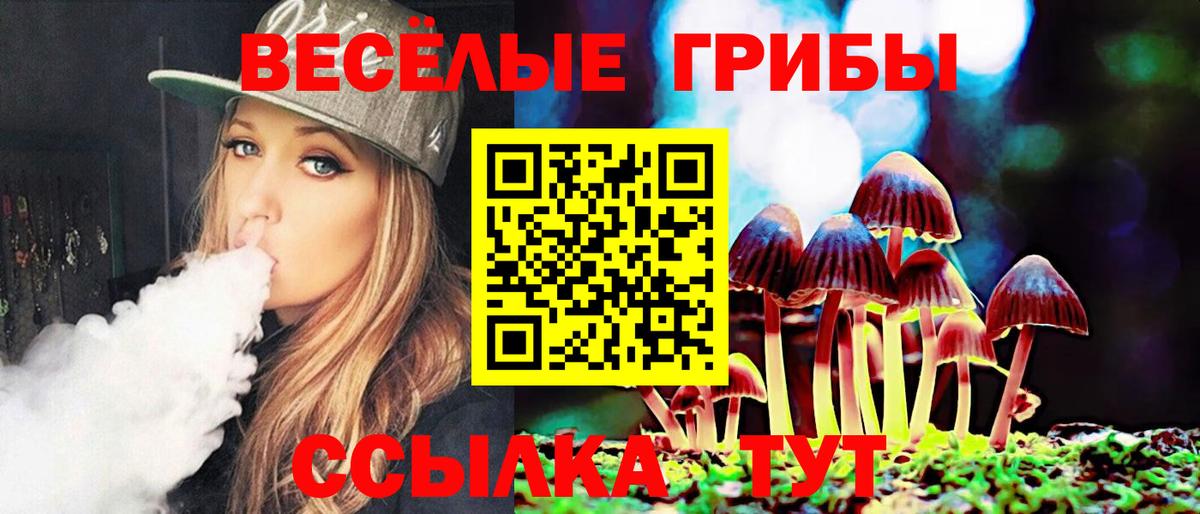 Псилоцибиновые грибы прущие грибы Знаменск